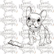Digital Stamp - Dog Park 3: Mav the French Bulldog