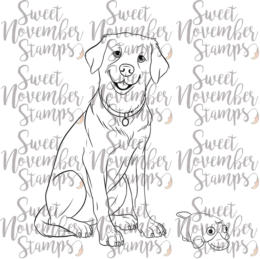 Digital Stamp - Dog Park 4: Ollie the Labrador