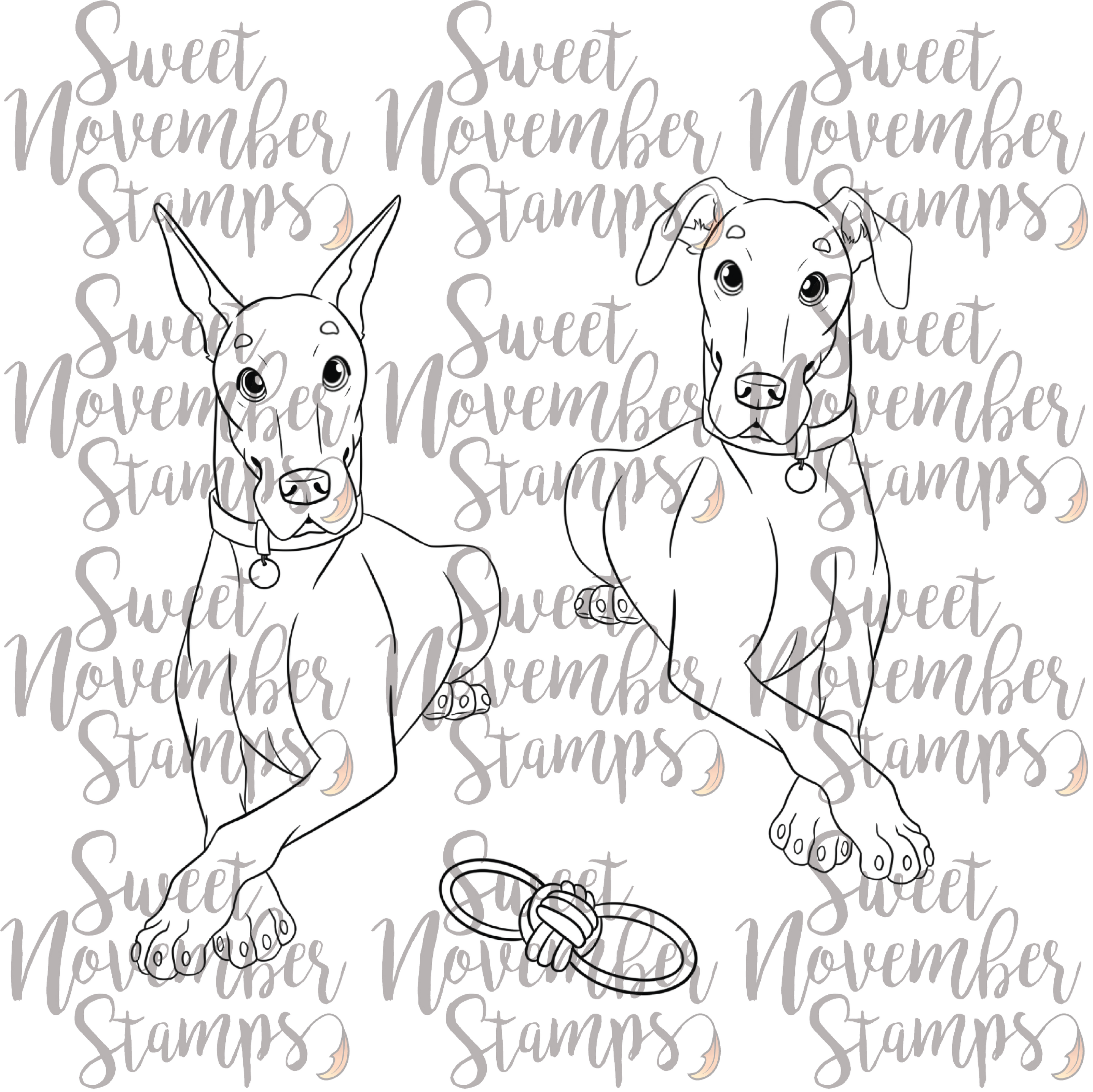 Digital Stamp - Dog Park 4: Sarge the Doberman