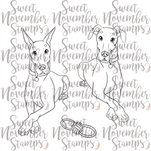 Load image into Gallery viewer, Digital Stamp - Dog Park 4: Sarge the Doberman

