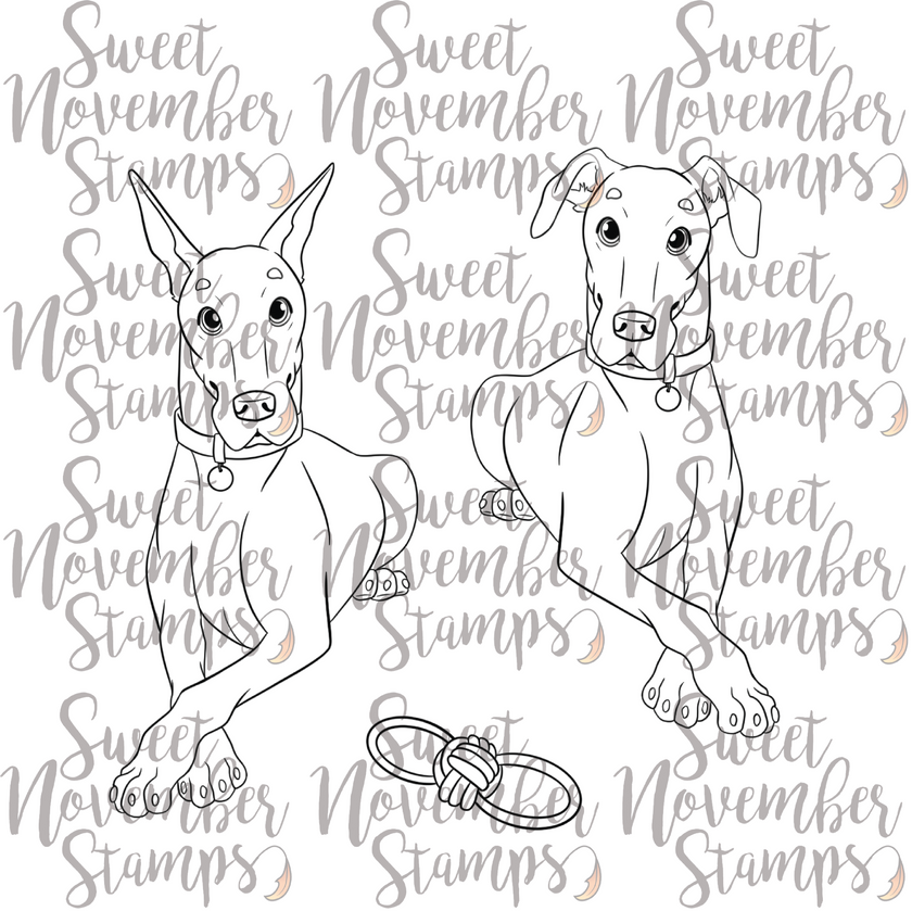 Digital Stamp - Dog Park 4: Sarge the Doberman