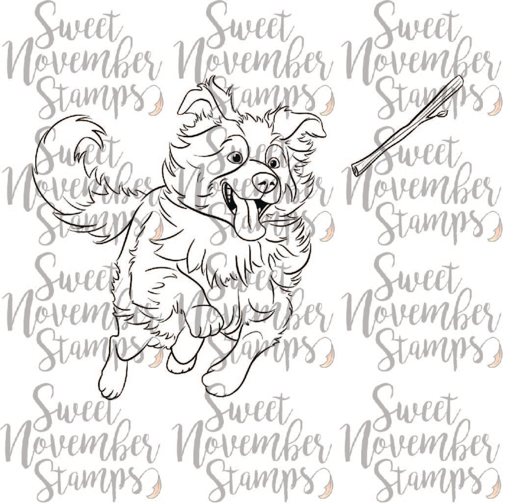 Digital Stamp - Dog Park 3: Scout the Border Collie