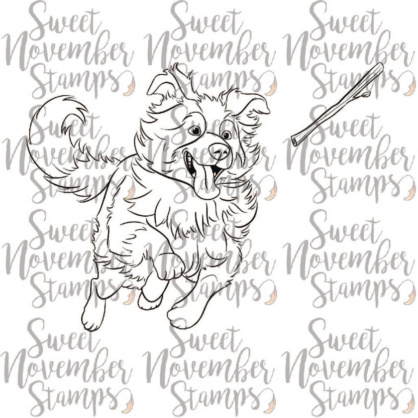 Digital Stamp - Dog Park 3: Scout the Border Collie