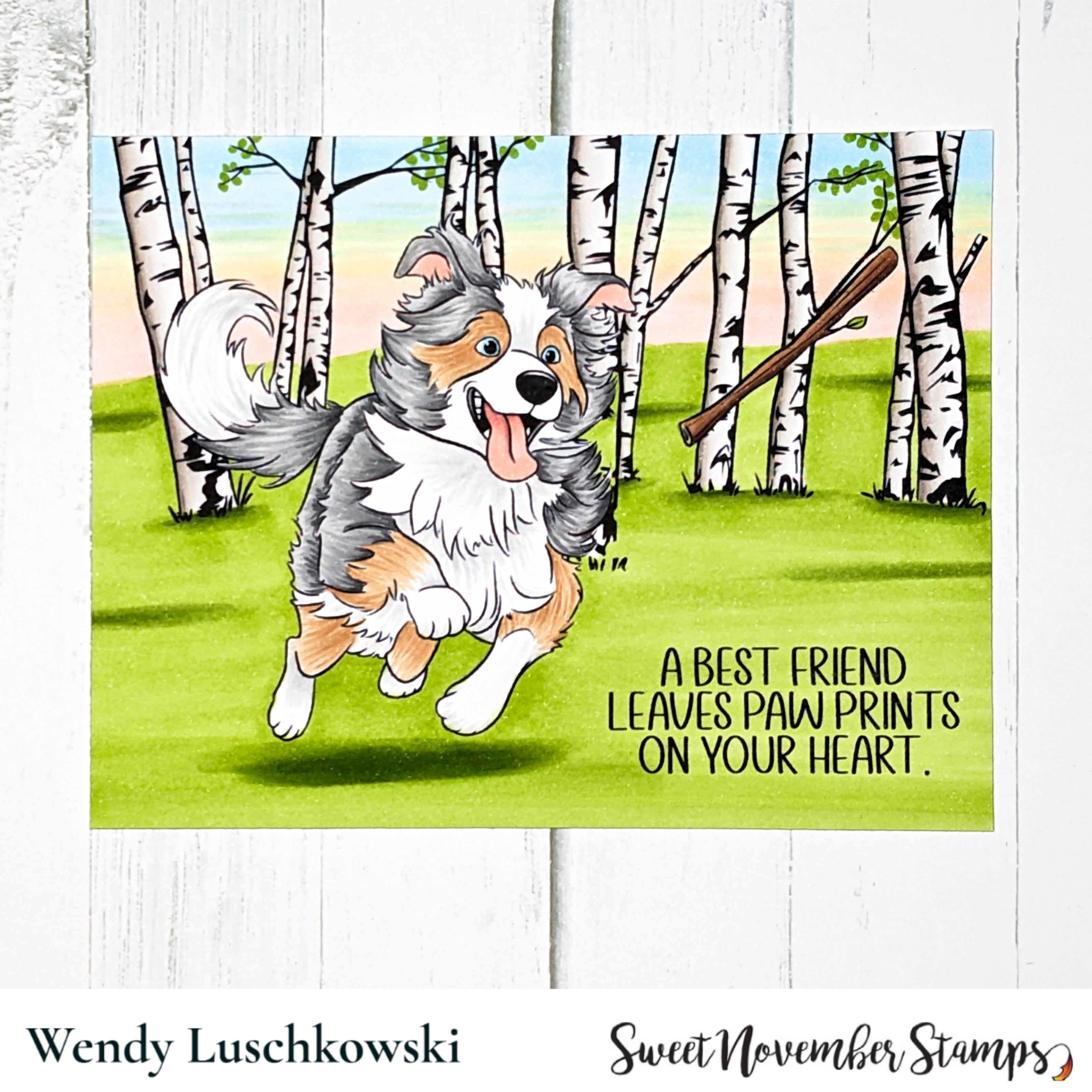 Digital Stamp - Dog Park 3: Scout the Border Collie