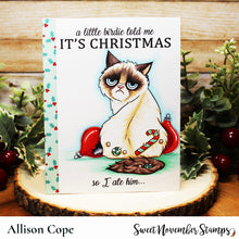 Load image into Gallery viewer, Digital Stamp - 1st Christmas: Scrappy and Sulky Sticky Sweet
