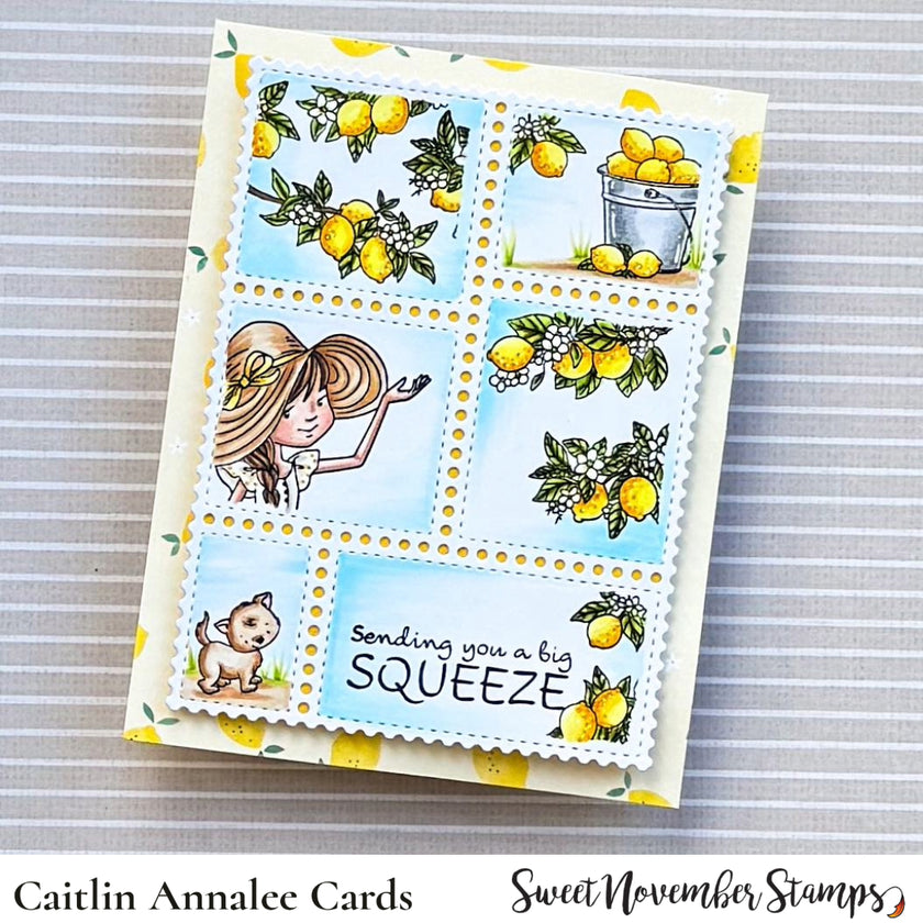 Clear Stamp Set - Bountiful Blessings: Squeeze the Day