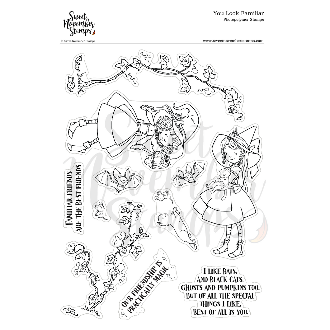 Clear Stamp Set - You look Familiar