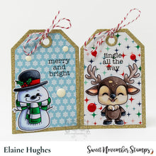 Load image into Gallery viewer, Clear Stamp Set - Christmas Minis
