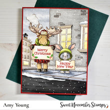 Load image into Gallery viewer, Clear Stamp Set - Signs of the Season
