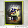 Clear Stamp Set - Witchwees: A Little Hello-ween