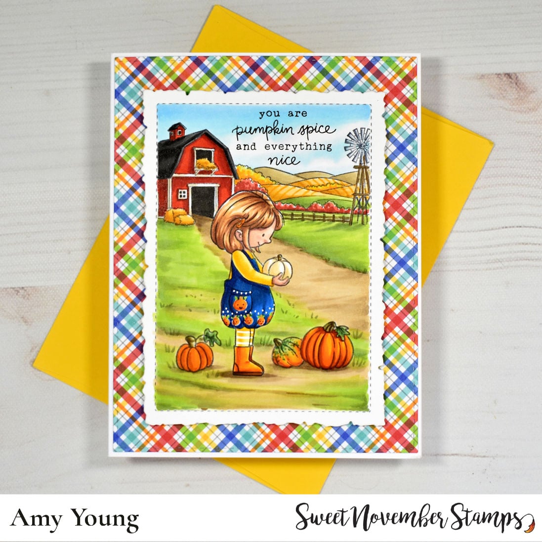 Clear Stamp Set - Pumpkin Patch