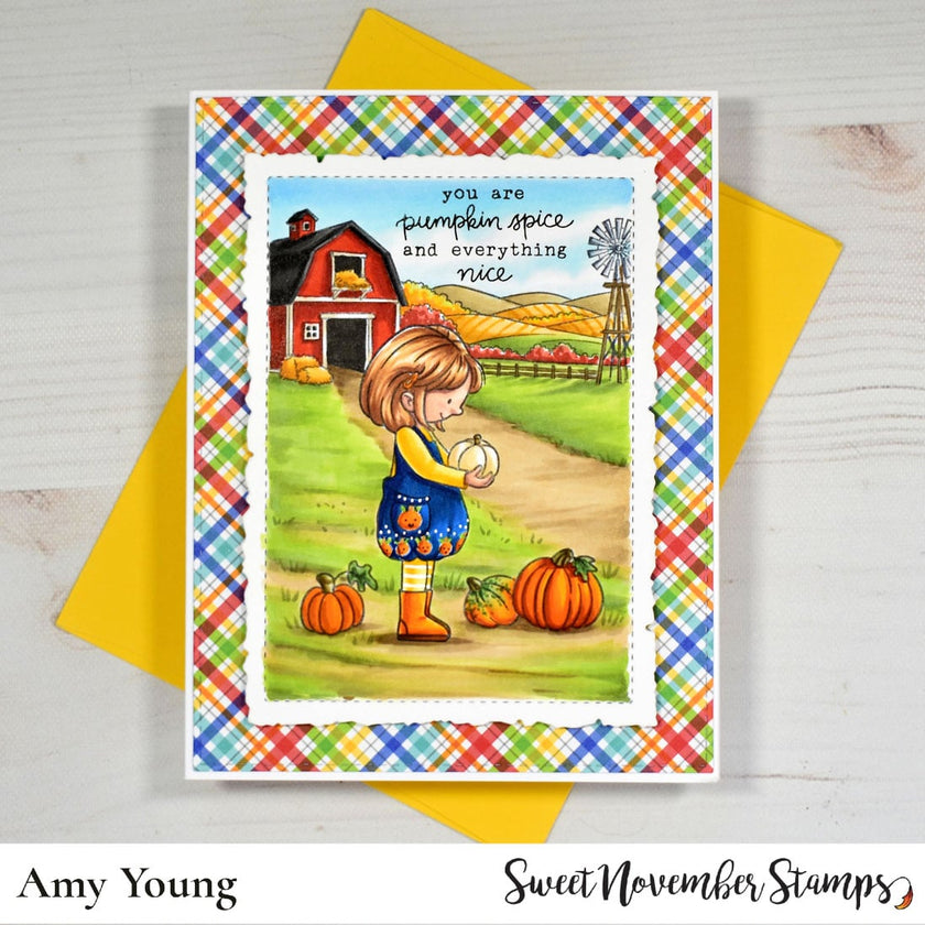 Clear Stamp Set - Pumpkin Patch