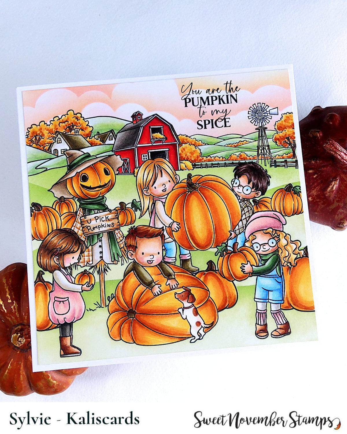 Clear Stamp Set - Pumpkin Patch