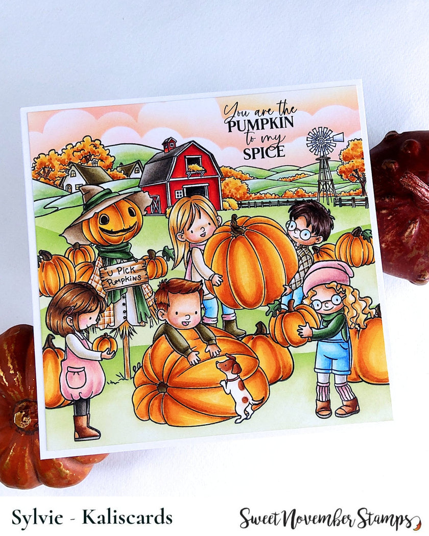 Clear Stamp Set - Pumpkin Patch