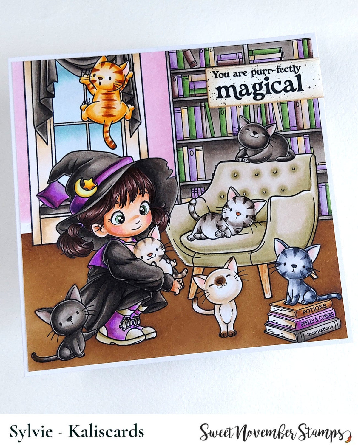 Clear Stamp Set - Witchy Enid