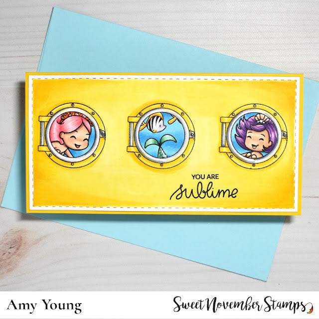 Clear Stamp Set - Expansion Pack:  Simple Room Pirate-add on