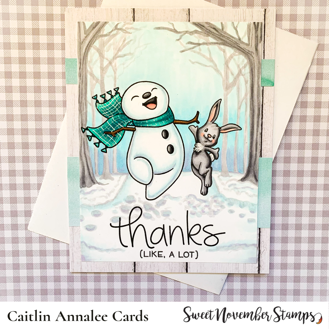 Clear Stamp Set - Frosty Feet