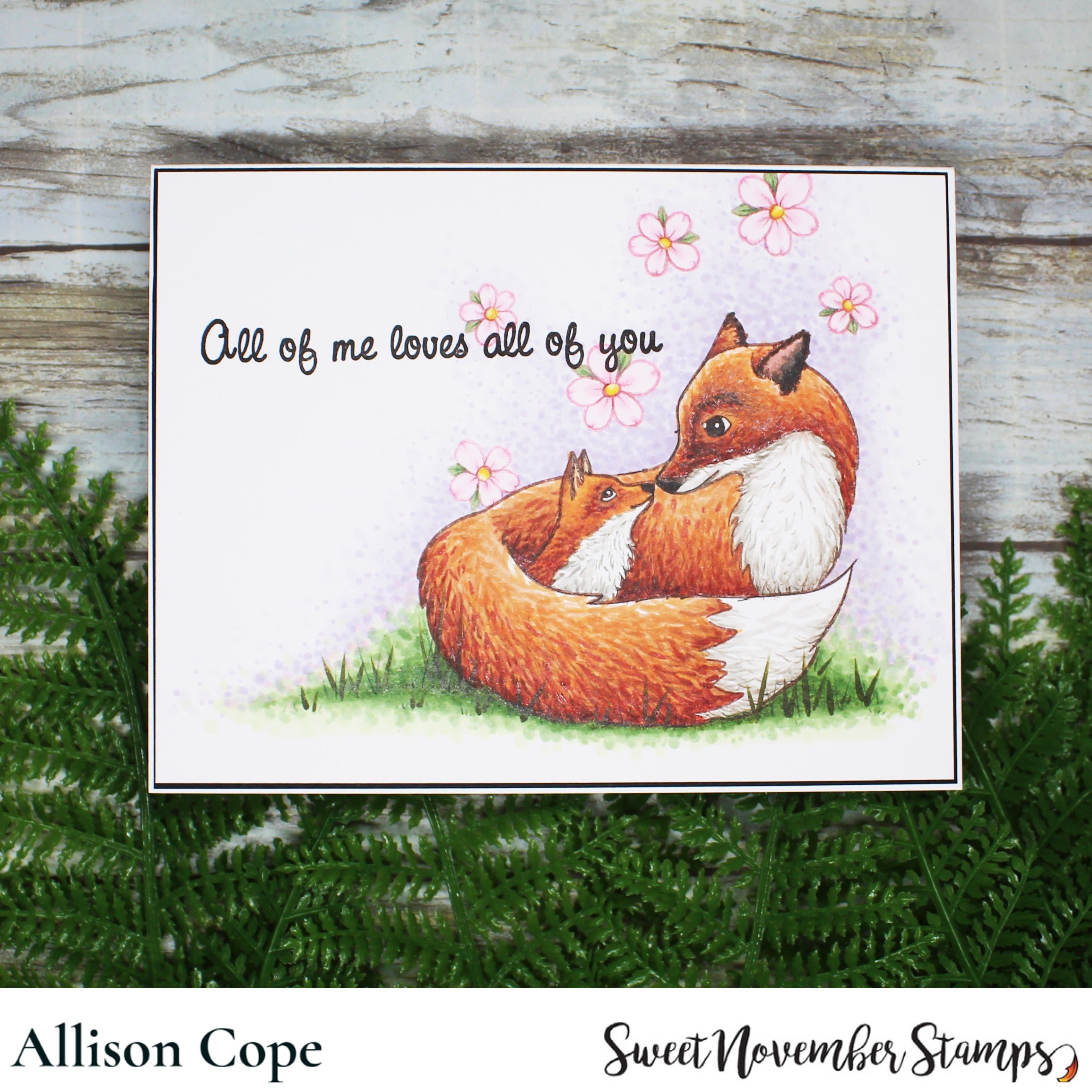 Clear Stamp Set - Little Moments