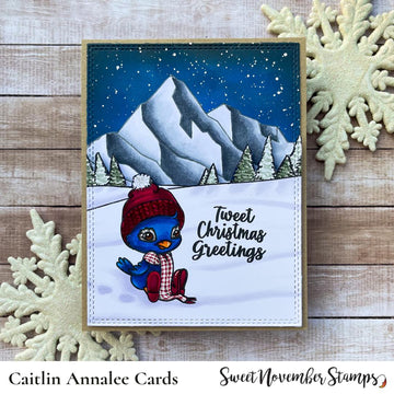 Clear Stamp Set - Bundle Up