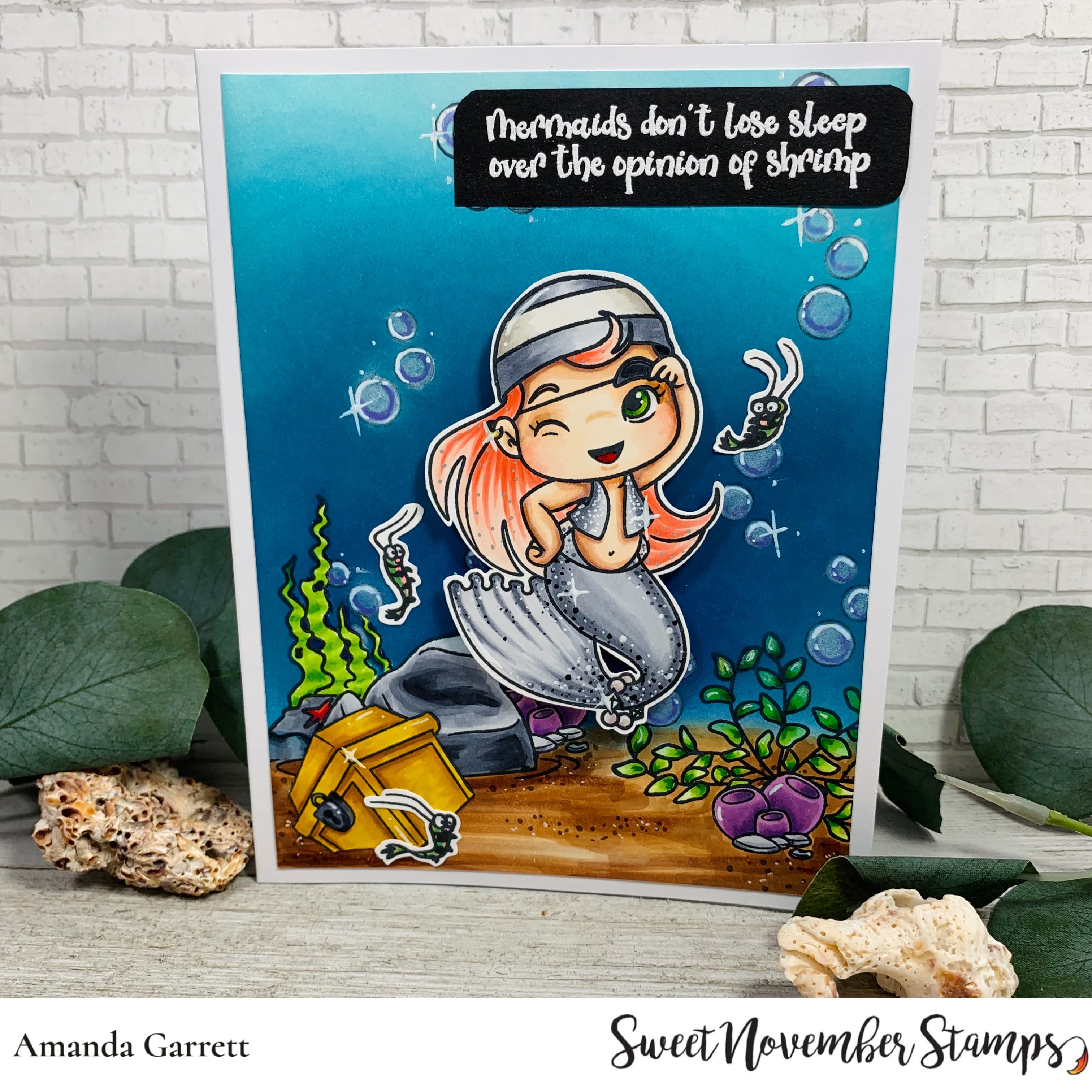 Clear Stamp Set - Expansion Pack:  Simple Room Pirate-add on