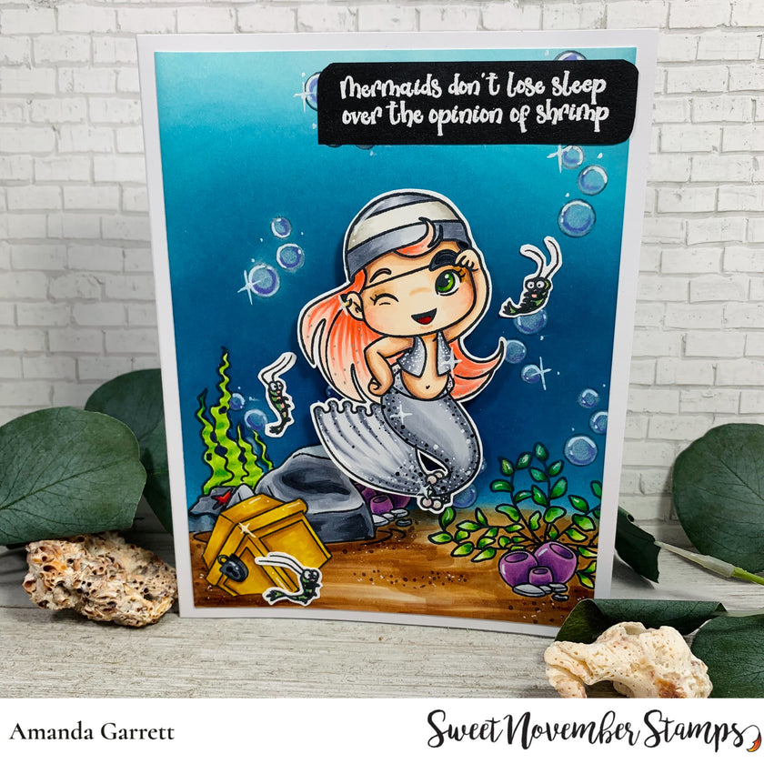 Clear Stamp Set - Expansion Pack:  Simple Room Pirate-add on