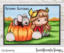 Clear Stamp Set - Harvest Wishes