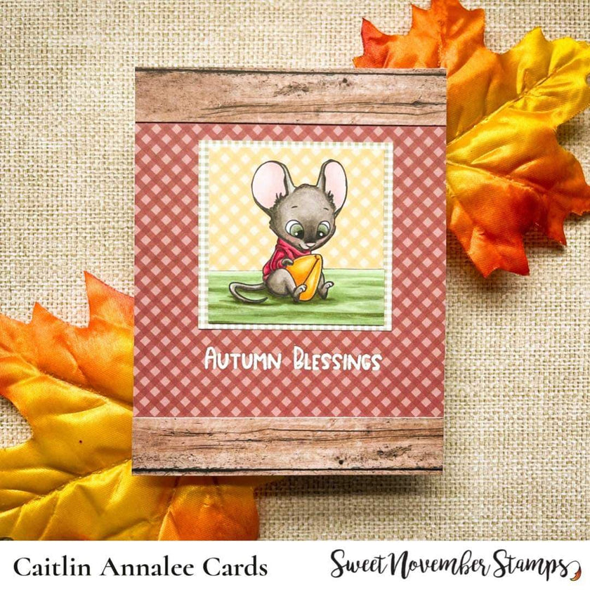 Clear Stamp Set - Harvest Wishes