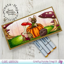 Load image into Gallery viewer, Clear Stamp Set - Harvest Wishes
