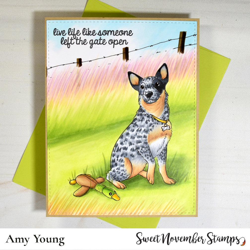 Digital Stamp - Dog Park 2: Durango the Cattledog