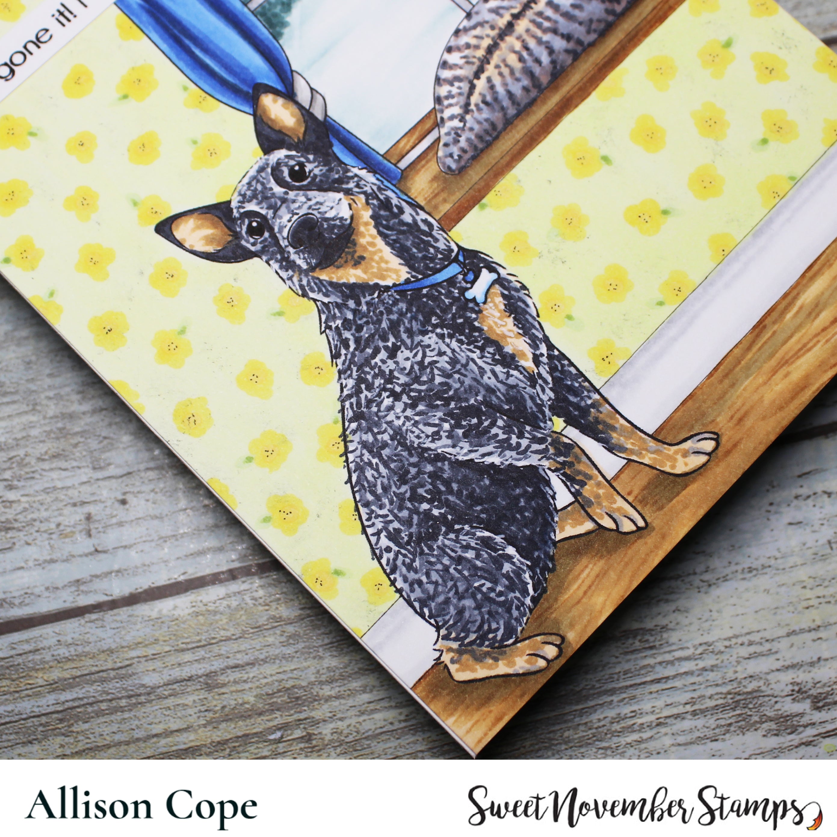 Digital Stamp - Dog Park 2: Durango the Cattledog