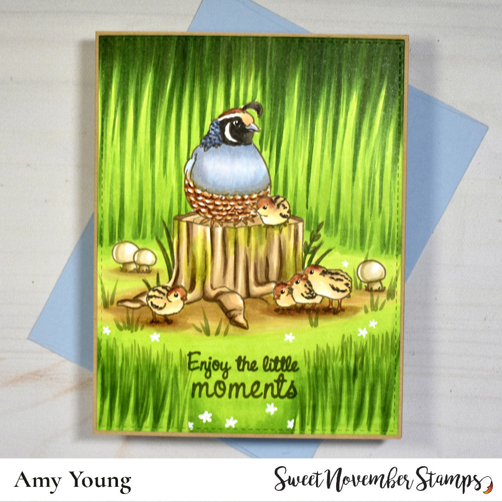 Clear Stamp Set - Little Moments