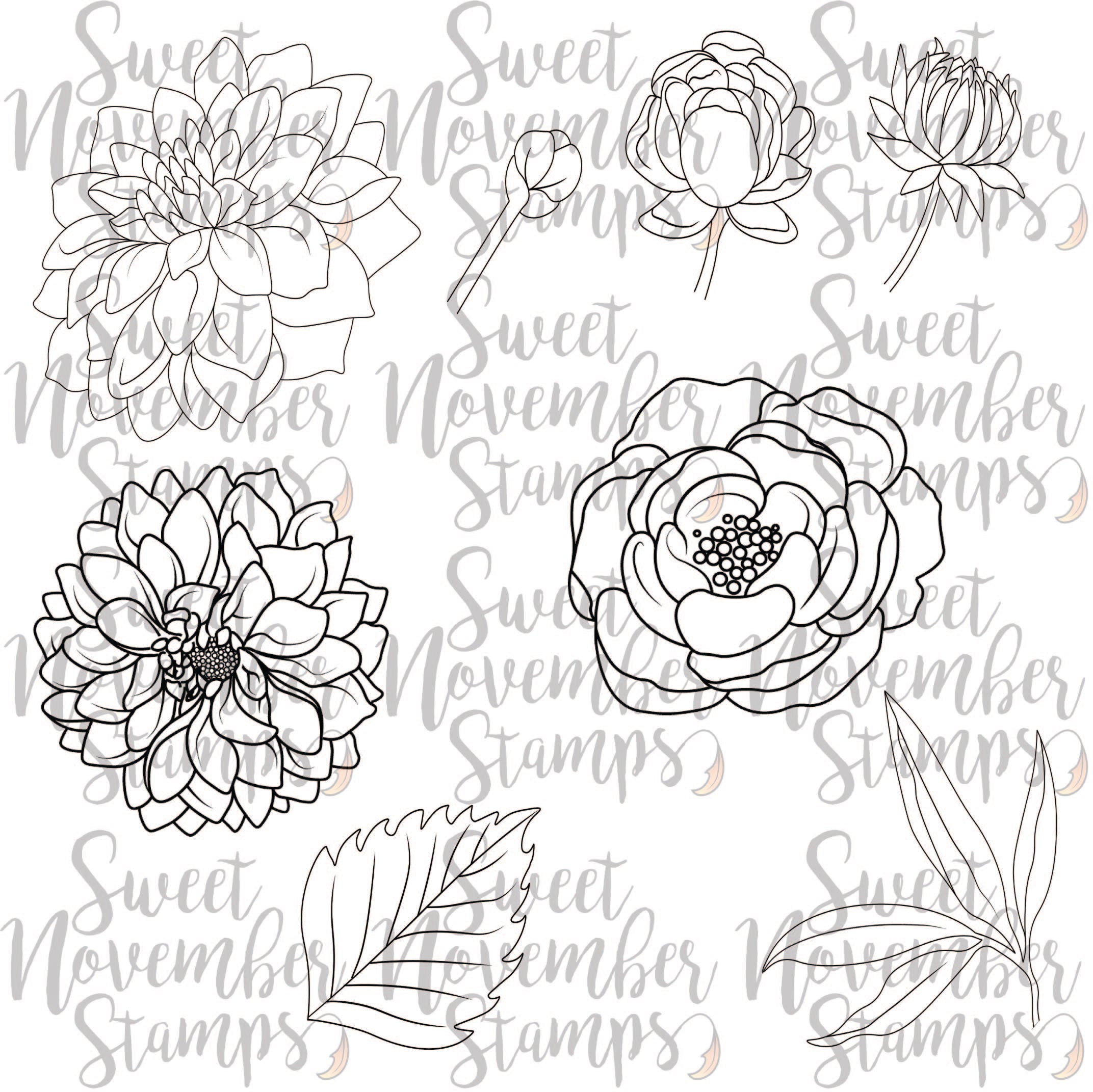 Digital Stamp - Scene Builder: Dahlia and Peony Background set