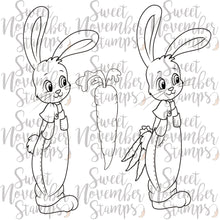 Load image into Gallery viewer, Digital Stamp - Sweet November Vault: Peter Bunny
